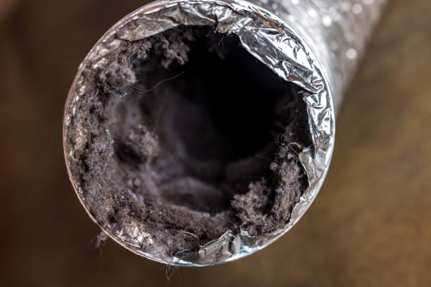 Best Air Duct Cleaning Company Near Me  in Shadow Lake, WA