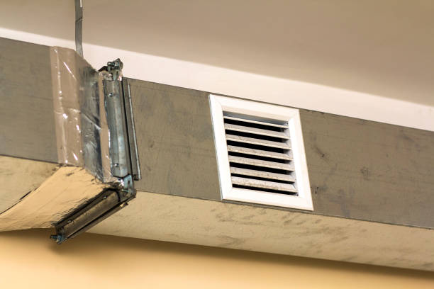Best Dryer Vent Cleaning Services  in Shadow Lake, WA